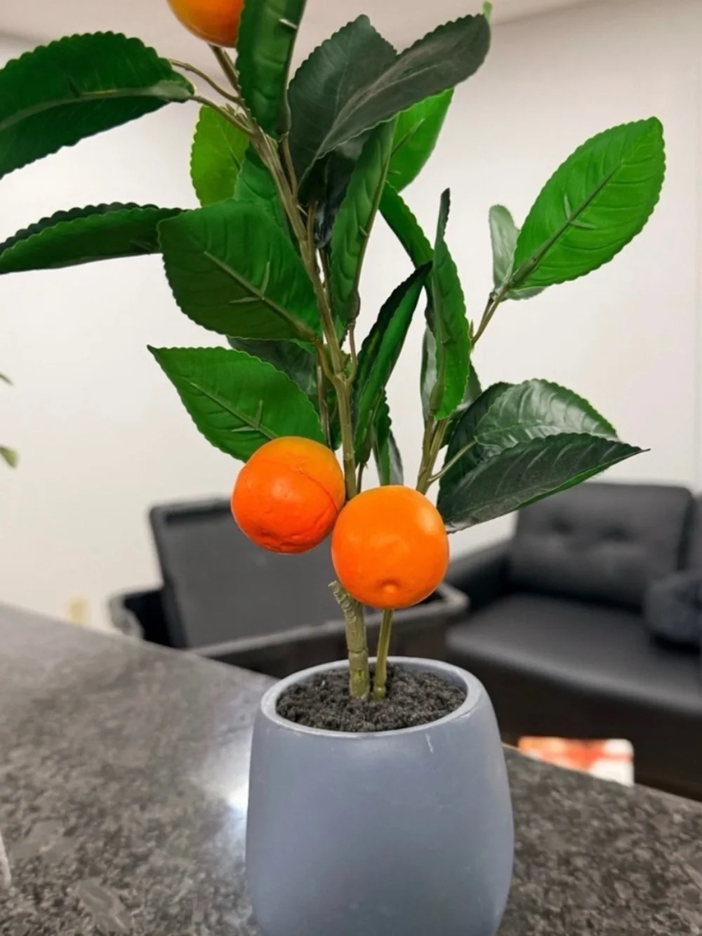 Target plant leaves